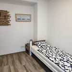 Pro Rodinu, Kamarady *